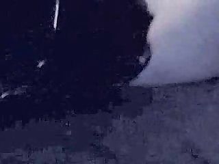 Art Of Zoo Porn Tube