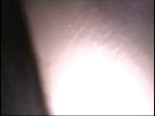 Farm Animal Sex Stories