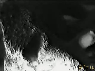 Black Woman Fucks Dog Porn