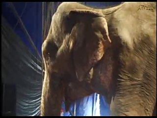 Pxxxxxxxxxxxx Gratis De Zoofilia