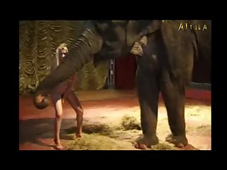 Grupos Telegram Zoofilia