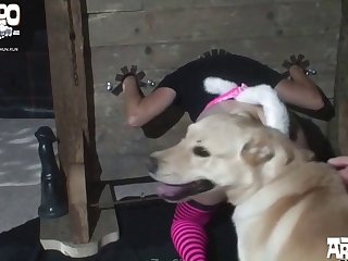 Porno Amater Zoofilia