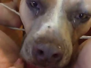 Small Boy Big Girl Xxx Porn