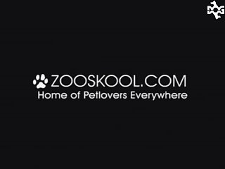 Animal Sex Toys For Men