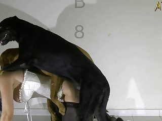 Gay Animal Sex Animation