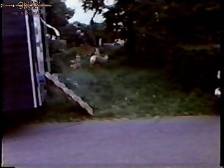 Homemade Animal Sex Videos