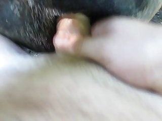 Art Of Zoo Dog Cum