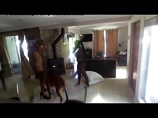 Cristina Dog Porn
