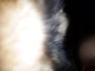 Couple Animal Sex
