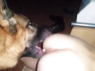 Couple Animal Sex