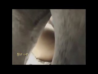 Zoo Delight Horse Goes Anal Bestialitylovers.com Part 15