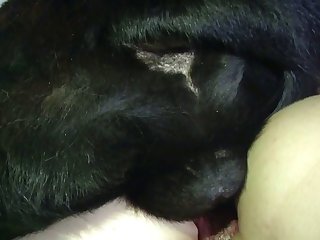 Sex Xxx Zoophilie