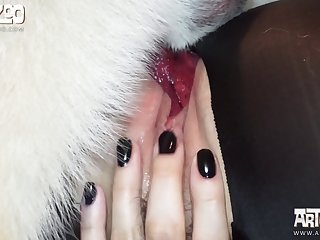 Anime Dog Xxx Gif