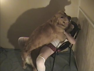 Dog Xxx Kissing