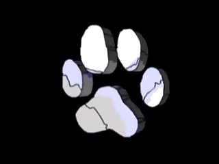 Zoophilie Prono