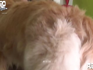 Köpek Kadını Ssex