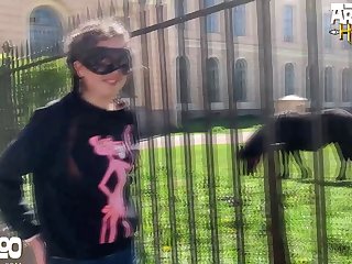Homem Transando Com Cachorro