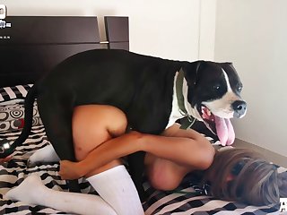 Dog Xxx Com