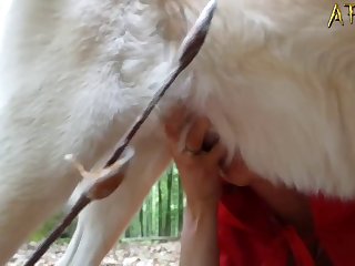 獣姦