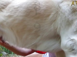 獣姦