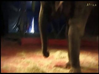 Sexy Girl And Elephant Part 5