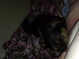 Me And My Dog Video 1