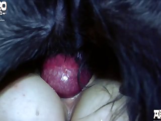 The Masters Now Call In The 12 Brothers For The Second Part Of The Competition