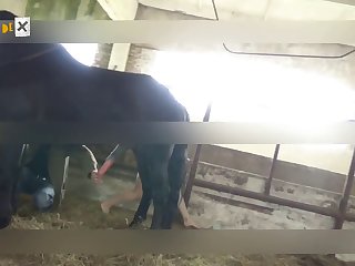 允许她在她非常好奇的私人飞机上走动。