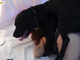 Suce La.il Chuchote Dans Mon Oreille