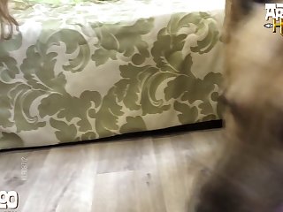 Spank Videos