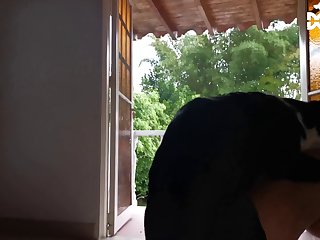 Hot Gilf