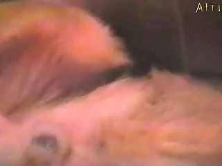 Www Xnnxx Com