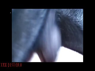 Hot Sexing Wife