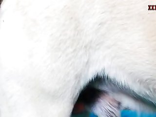 Youoorn