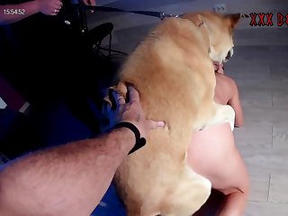 Live Xxxxx Granny Girl Animal Porn