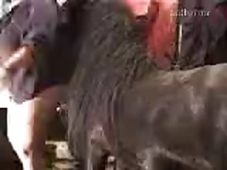 Free Adult Movie