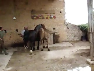 4emesaut Retq