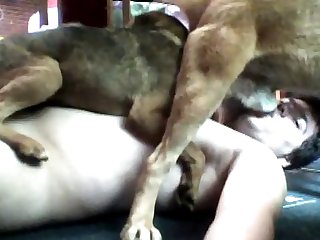 1 Boy 2 Dogs