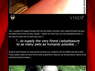 Is Animal Porn Legal