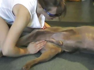 Mare Pussy Fucked