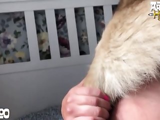 Porn Zoo Beast