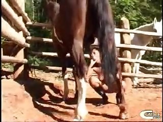 Braxziilian Animal Sex Clips